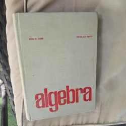 Algebra - Ion D. Ion, Nicolae Radu
