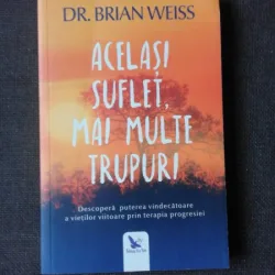 ACELASI SUFLET, MAI MULTE TRUPURI - BRIAN WEISS