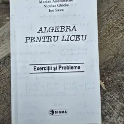 Algebra pentru liceu. Exercitii si probleme - Marian Andronache, Niculae Ghiciu, Ion Savu