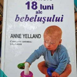 Ane Yelland - Primele 18 luni ale bebelusului