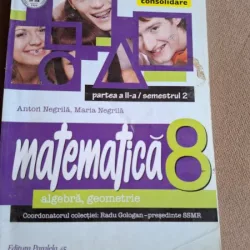 Anton Negrila, Maria Negrila - Matematica. Algebra, geometrie, clasa a VIII-a, partea II