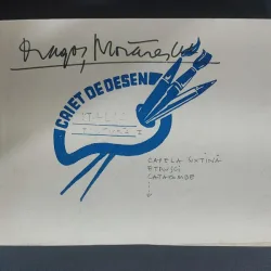 Arhiva Dragos Morarescu: Caiet-album cu carti postale. Italia Pictura I