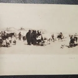 Carte postala, necirculata, reproducere dupa pictura