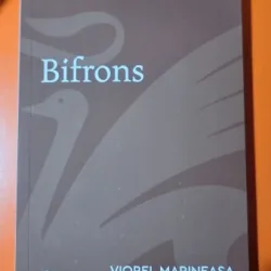 Bifrons - Viorel Marineasa