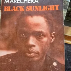 Black Sunlight - Dambudzo Marechera