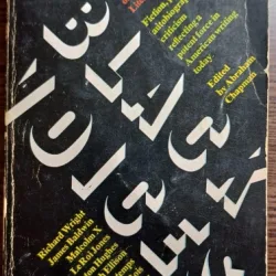 Black voices: An anthology of afro-american literature