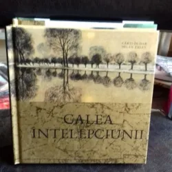 CALEA INTELEPCIUNII - HELEN EXLEY