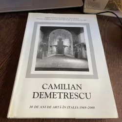 Camilian Demetrescu - 30 de ani de arta in Italia 1969-2000
