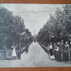 Carte postala, Baile Buzias promenada la scalda Otel, 1925