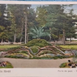 Carte postala, Baile Felix, Parte din Parc, perioada interbelica