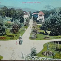 Carte postala, Baile Govora, aleea principala din parc, perioada interbelica