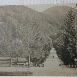 Carte Postala, Baile Slanic Moldova, Parcul, perioada interbelica