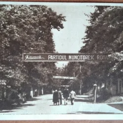 Carte postala, Bazna, parcul orasului, 1952