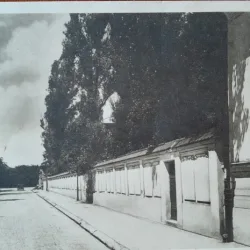 Carte postala, Bucuresti Scoala Centrala de Fete, latura scolii dinspre gradina Icoanei, perioada interbelica