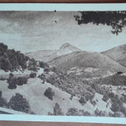 Carte postala, C. Lung-Muscel, drumul spre Bran