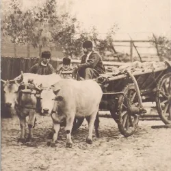 Carte postala circulata in 24 ianuarie 1917