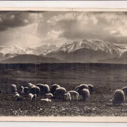 Carte postala circulata  in anul 1933