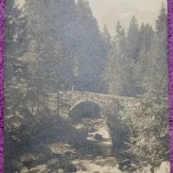 Carte Postala, Elvetia, Champery - Pont des Moulins, 1911