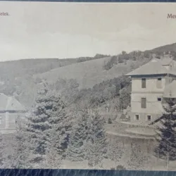 Carte postala, Moneasa, privire generala cu vile, perioada interbelica