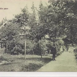 Carte postala necirculata din jurul anului 1900 Saliste