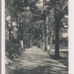 Carte postala necirculata din perioada interbelica