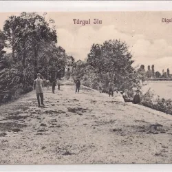 Carte postala necirculata din perioada interbelica Targu Jiu