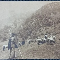 Carte postala, Pastor in Romania, perioada interbelica