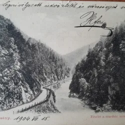 Carte postala, Petrosani detaliu din defileu, 1915