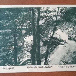 Carte postala. Petrosani vedere din Pasul Surduc, 1922