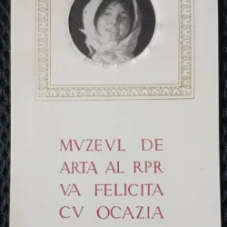 Carte Postala, Romania, Muzeul de Arta al RPR, 1960