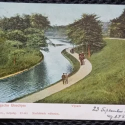 Carte Postala, Scheveningen Bosjes, provincie in sudul Olandei, Parcul, 1903
