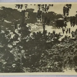 Carte postala, Scoala Centrala de Fete din Bucuresti. Gradina mare, perioada interbelica