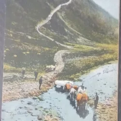 Carte postala, Tg. Ocna, in drum spre Slanicul Moldovei, 1932
