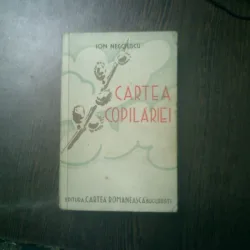 Cartea copilariei - Ion Negoescu