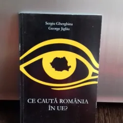 CE CAUTA ROMANIA IN UE? - SERGIU GHERGHINA