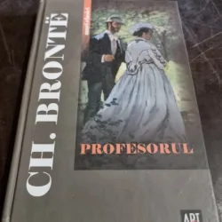 Ch. Bronte - Profesorul