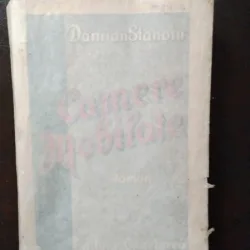 Damian Stanoiu - Camere Mobilate