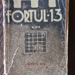 Dragos Protopopescu - Fortul 13