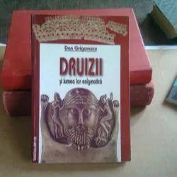 DRUIZII SI LUMEA LOR ENIGMATICA - DAN GRIGORESCU