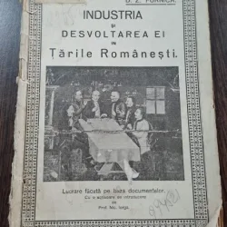 D.Z. Furnica - Industria si desvoltarea ei in Tarile romanesti