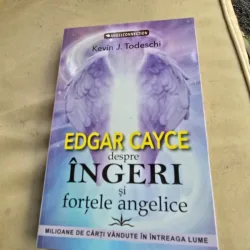 Edgar Cayce despre ingeri si fortele angelice - Kevin J. Todeschi