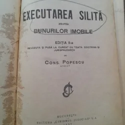 EXECUTAREA SILITA ASUPRA BUNURILOR IMOBILE - NICOLAE LUCA, CONS. POPESCU