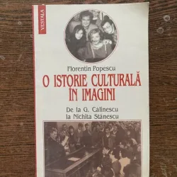 Florentin Popescu - O istorie culturala in imagini