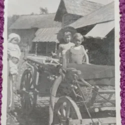 Fotografie, Copii in caruta, intr-un sat din Romania, anii 40