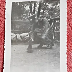 Fotografie, ofiter cu pisica, perioada interbelica