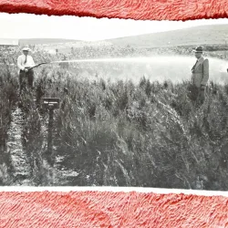 Fotografie tip carte postala, ministrul V. Nitescu in vizita de lucru la pepiniera Dezmir, 1933
