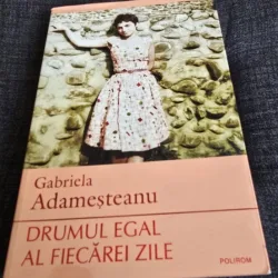 Gabriela Adamesteanu - Drumul egal al fiecarei zile