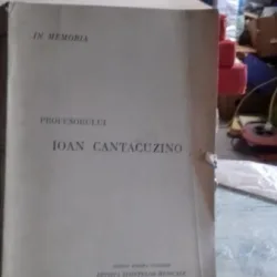 IN MEMORIA PROFESORULUI IOAN CANTACUZINO