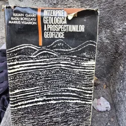 Interpretarea geologica a prospectiunilor geofizice - Iulian Gavat