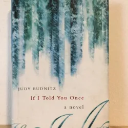 Judy Budnitz - If I Told You Once